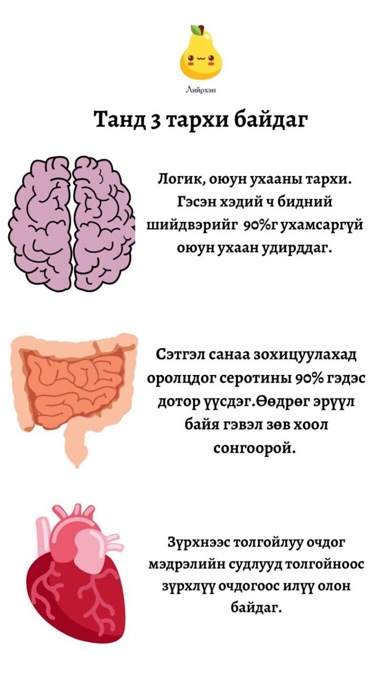 ❤️🧠🥑 альных нь үгэнд илүү орж байна🙈