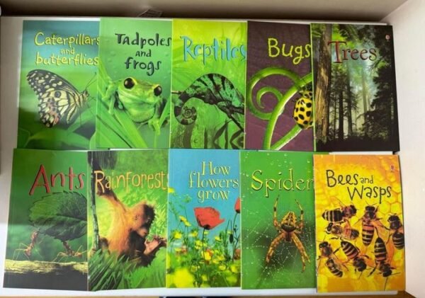 Usborne beginners Nature - Image 3